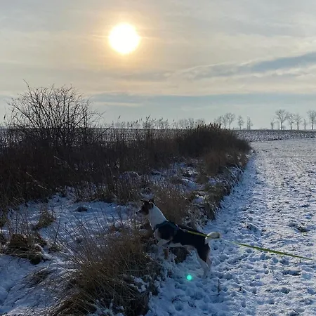 Zielony Domek Lusowko * Lusowko