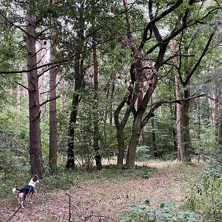 Villa Zielony Domek Lusowko Lusowko