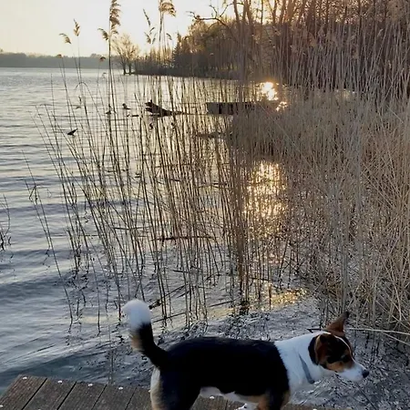 Zielony Domek Lusowko * Lusowko