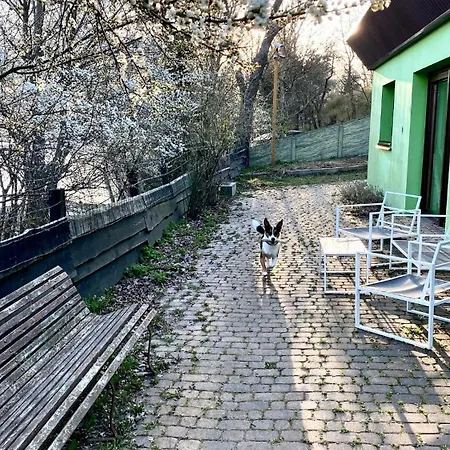 Zielony Domek Lusowko Villa