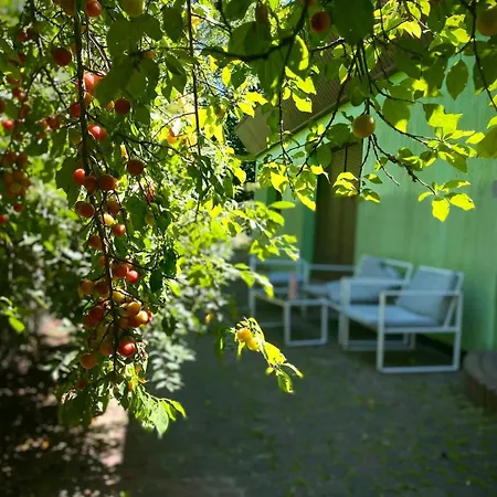 Zielony Domek Lusowko Villa Lusowko