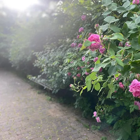 Villa Zielony Domek Lusowko *